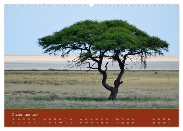 Produktbild: Namibia (Wandkalender 2026 DIN A2 quer), CALVENDO Monatskalender