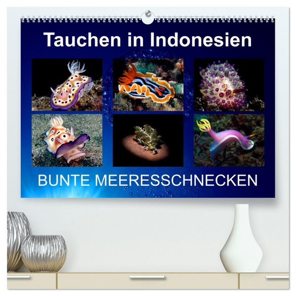 Tauchen in Indonesien - BUNTE MEERESSCHNECKEN (hochwertiger Premium Wandkalender 2026 DIN A2 quer), Kunstdruck in Hochglanz