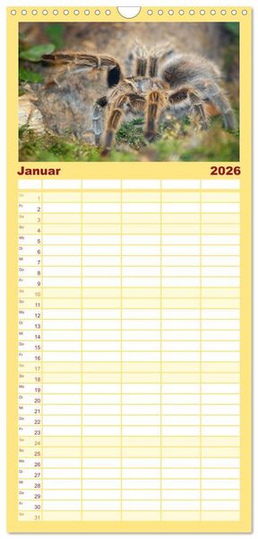 Produktbild: Familienplaner 2026 - Vogelspinnen mit 5 Spalten (Wandkalender, 21 x 45 cm) CALVENDO