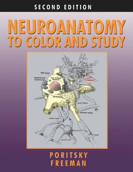 Produktbild: Neuroanatomy to Color and Study
