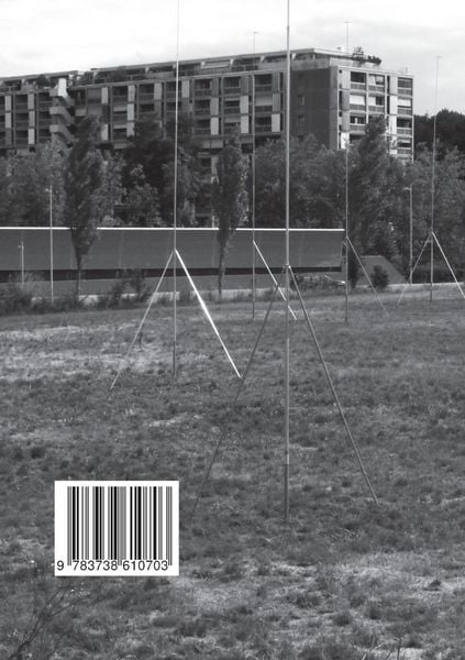 Produktbild: Paradigmen der Narratologie