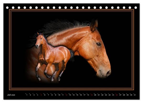 Produktbild: Traumpferde-ART-Collection (Tischkalender 2026 DIN A5 quer), CALVENDO Monatskalender