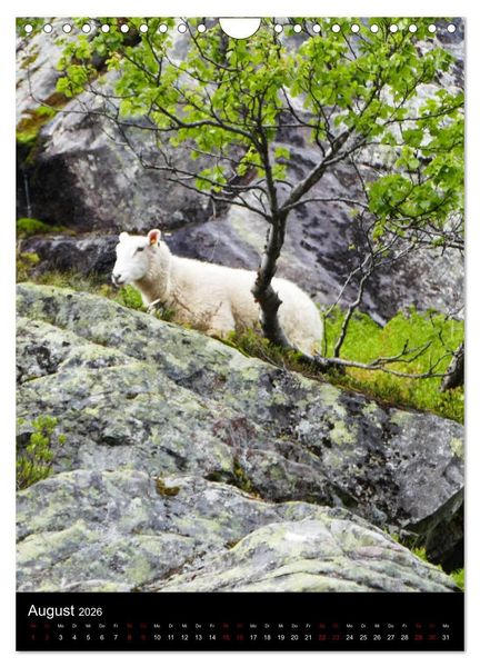 Produktbild: Hei - Willkommen im Fjordland (Wandkalender 2026 DIN A4 hoch), CALVENDO Monatskalender