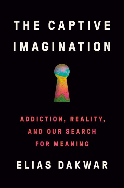 Produktbild: The Captive Imagination
