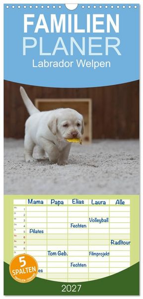 Produktbild: Familienplaner 2027 - Labrador Welpen mit 5 Spalten (Wandkalender, 21 x 45 cm) CALVENDO