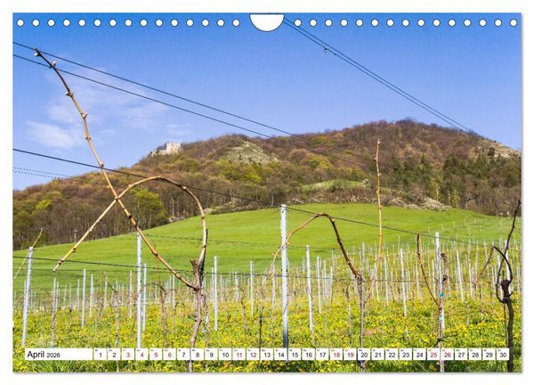 Produktbild: Weinberge um Jena (Wandkalender 2026 DIN A4 quer), CALVENDO Monatskalender