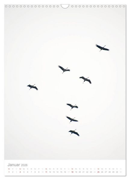Produktbild: Der Flug der Kraniche (Wandkalender 2026 DIN A3 hoch), CALVENDO Monatskalender