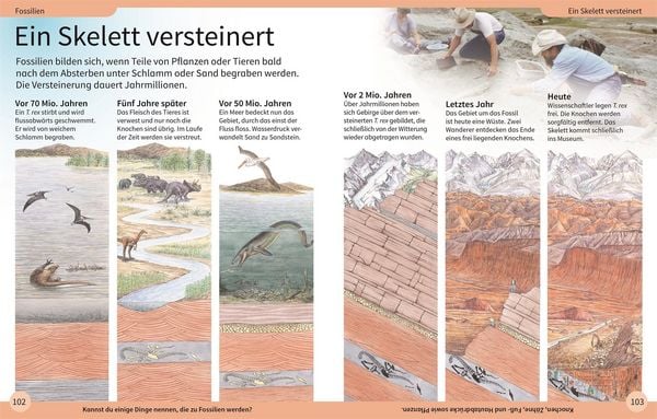 Produktbild: DK Kinderlexikon. Dinosaurier