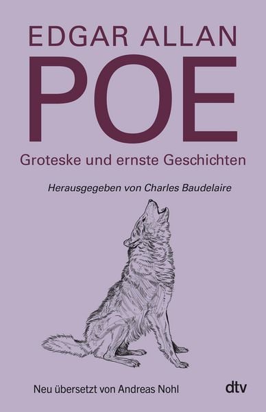 Produktbild: Groteske und ernste Geschichten