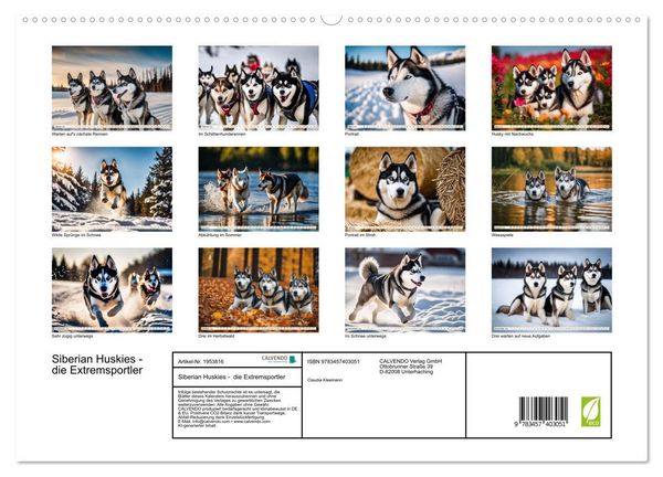 Produktbild: Siberian Huskies - die Extremsportler (hochwertiger Premium Wandkalender 2026 DIN A2 quer), Kunstdruck in Hochglanz