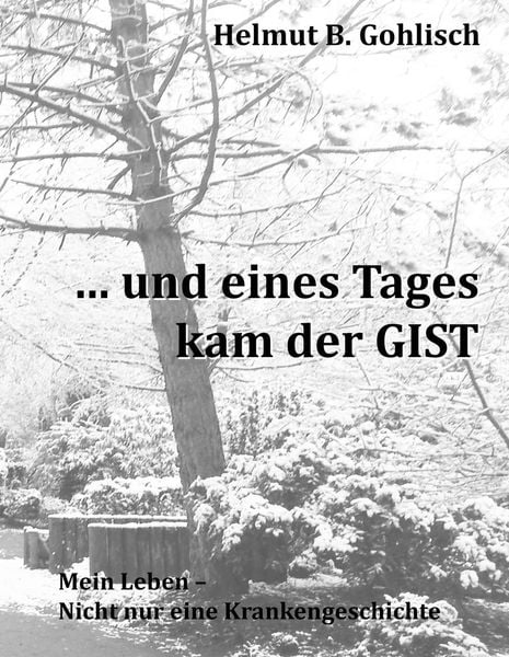 Produktbild: ... und eines Tages kam der GIST
