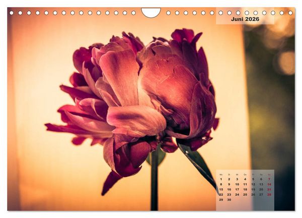 Produktbild: Bl&uuml;ten im Retro-Style (Wandkalender 2026 DIN A4 quer), CALVENDO Monatskalender