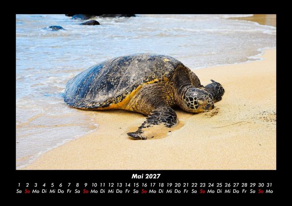 Produktbild: Str&auml;nde der Welt 2027 Fotokalender DIN A3