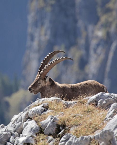 Produktbild: HEIMAT NATUR