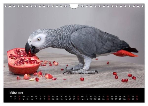 Mettkalender 2026 DIN A4 - Spread Some More Mett Wandkalender