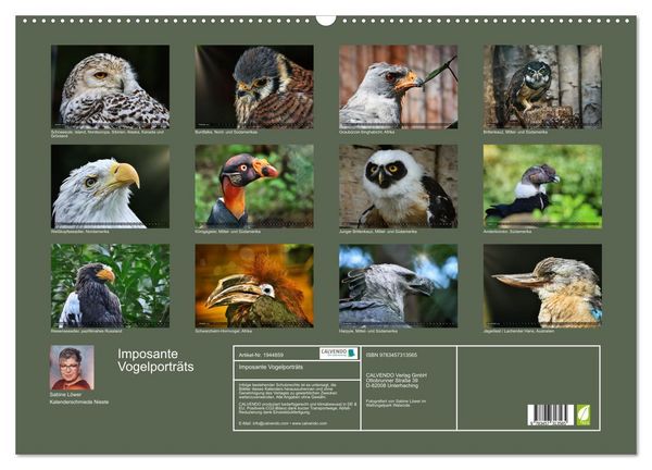 Produktbild: Imposante Vogelportr&auml;ts (Wandkalender 2026 DIN A2 quer), CALVENDO Monatskalender