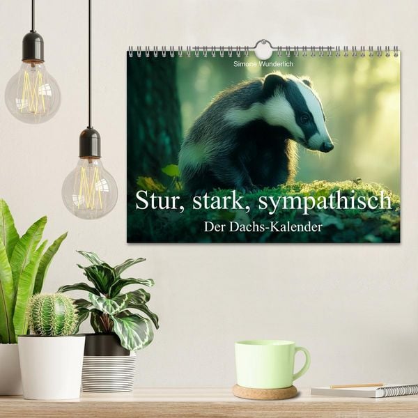 Produktbild: Stur, stark, sympathisch - Der Dachs - Kalender (Wandkalender 2026 DIN A4 quer), CALVENDO Monatskalender