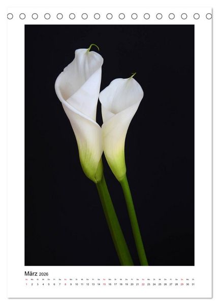 Produktbild: Poesie wei&szlig;er Bl&uuml;ten (Tischkalender 2026 DIN A5 hoch), CALVENDO Monatskalender