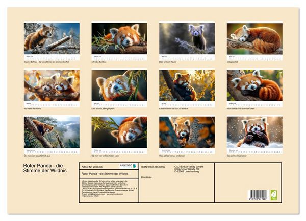 Produktbild: Roter Panda - die Stimme der Wildnis (Wandkalender 2026 DIN A2 quer), CALVENDO Monatskalender