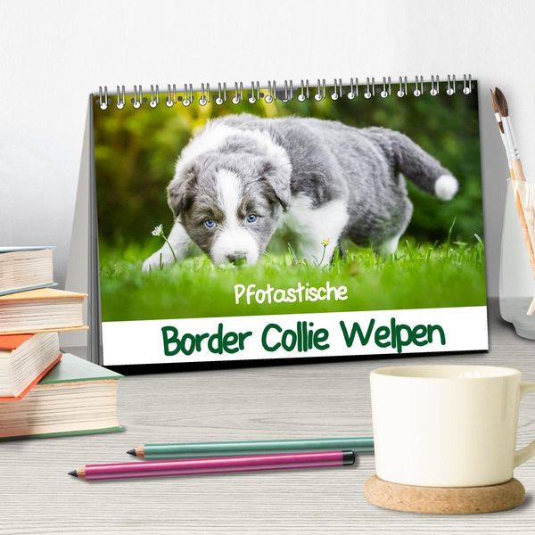 Produktbild: Pfotastische Border Collie Welpen (Tischkalender 2026 DIN A5 quer), CALVENDO Monatskalender
