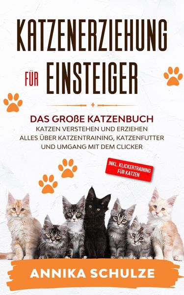 Produktbild: Katzenerziehung f&uuml;r Einsteiger