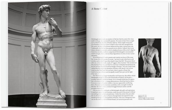 Produktbild: Michelangelo
