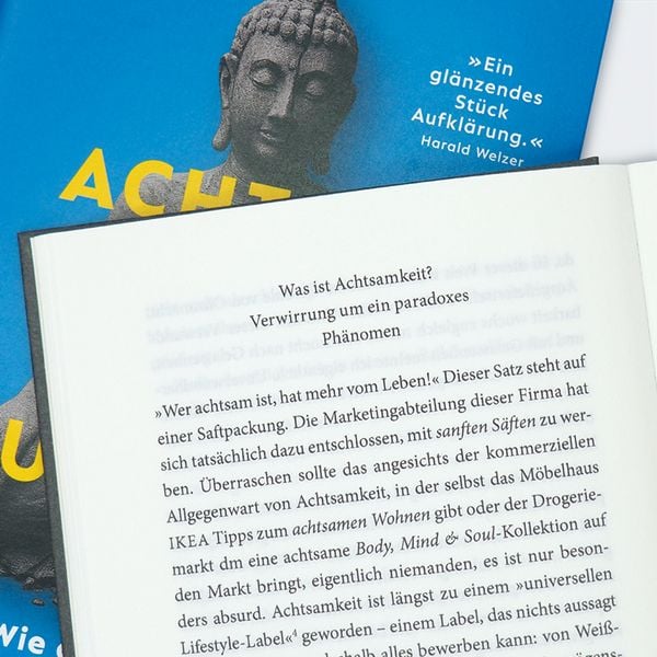 Produktbild: Achtsam geht die Welt zugrunde