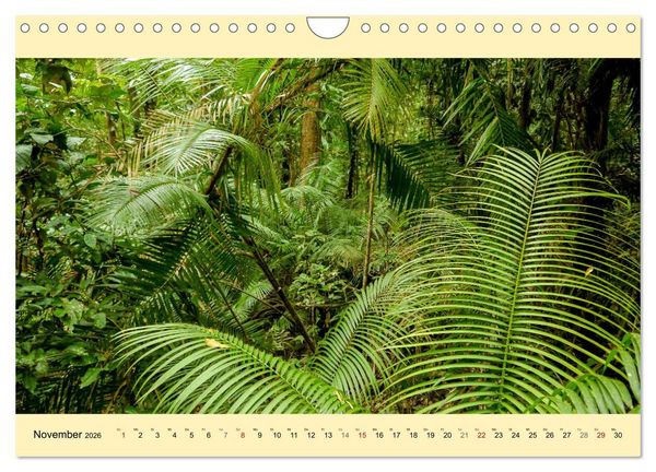 Produktbild: Australien - Der vielseitige Osten (Wandkalender 2026 DIN A4 quer), CALVENDO Monatskalender