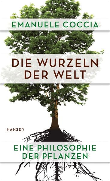 Produktbild: Die Wurzeln der Welt