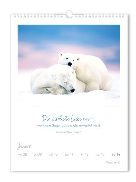 Wochenkalender 2024 LebensWeisheiten