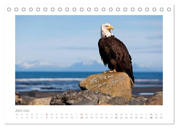 Produktbild: Alaska 2026 (Tischkalender 2026 DIN A5 quer), CALVENDO Monatskalender