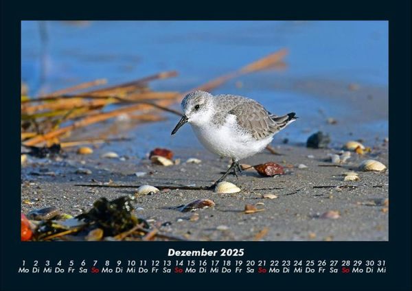 Produktbild: Nordsee 2025 Fotokalender DIN A4