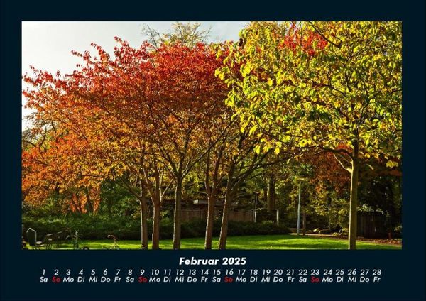 Produktbild: B&auml;ume 2025 Fotokalender DIN A4