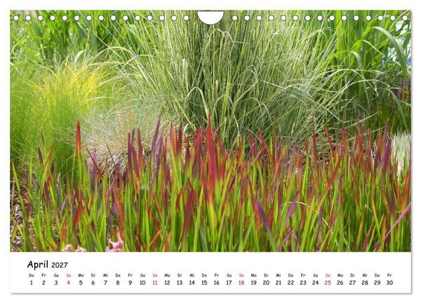 Produktbild: Mein Garten Eine Leidenschaft (Wandkalender 2027 DIN A4 quer), CALVENDO Monatskalender