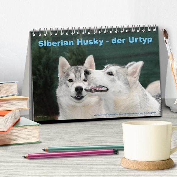 Produktbild: Siberian Husky - der Urtyp (Tischkalender 2026 DIN A5 quer), CALVENDO Monatskalender