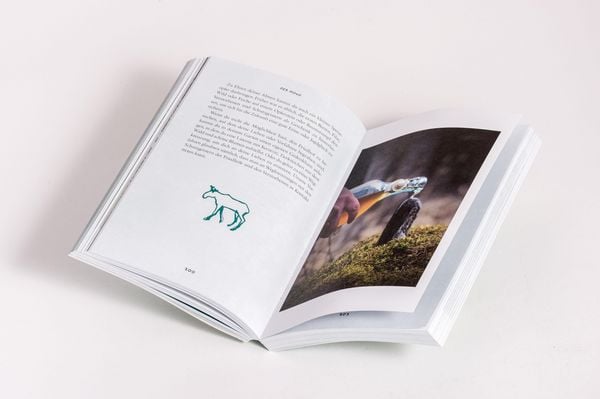 Produktbild: Die Magie nordischer Rituale