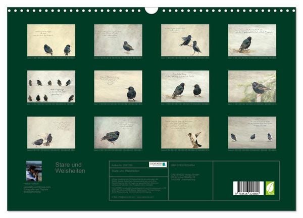 Produktbild: Stare und Weisheiten (Wandkalender 2026 DIN A3 quer), CALVENDO Monatskalender