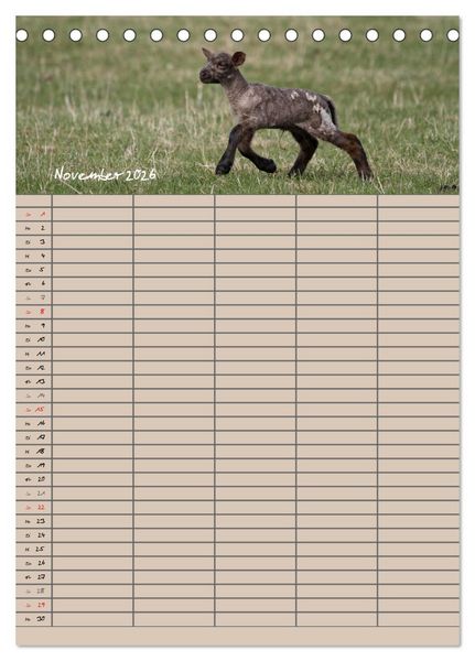 Produktbild: Der bel&auml;mmerte Familienplaner (Tischkalender 2026 DIN A5 hoch), CALVENDO Monatskalender