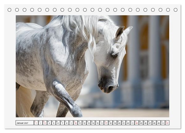 Produktbild: Spanische Eleganz. Edle Schimmel auf dem Gest&uuml;t (Tischkalender 2027 DIN A5 quer), CALVENDO Monatskalender