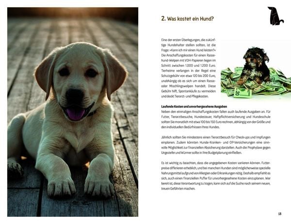Produktbild: 101 Dinge, die man wissen muss, wenn ein Welpe zuhause einzieht