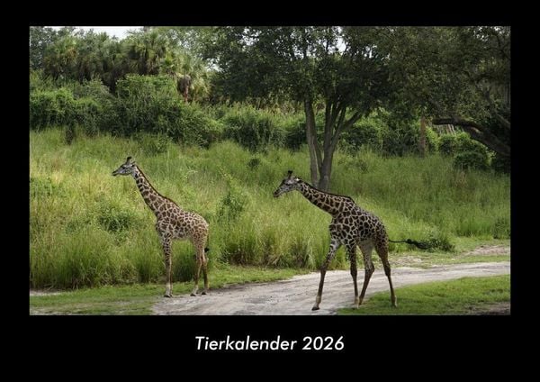 Produktbild: Tierkalender 2026 Fotokalender DIN A3