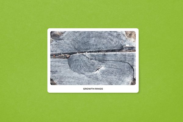 Produktbild: New York City Street Tree Tarot