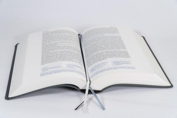 Produktbild: Elberfelder Bibel - mit Schreibrand, Leder