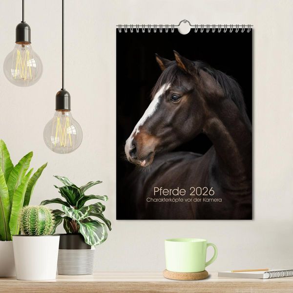 Produktbild: Pferde 2026 - Charakterk&ouml;pfe vor der Kamera (Wandkalender 2026 DIN A4 hoch), CALVENDO Monatskalender