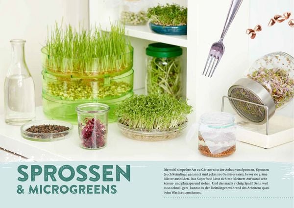 Produktbild: Endlich Mittagspause! Indoor-G&auml;rtnern zwischen Mails und Meetings mit Pfl&uuml;cksalat, Sprossen & Co.