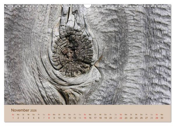 Produktbild: Farben des Holzes (Wandkalender 2026 DIN A3 quer), CALVENDO Monatskalender