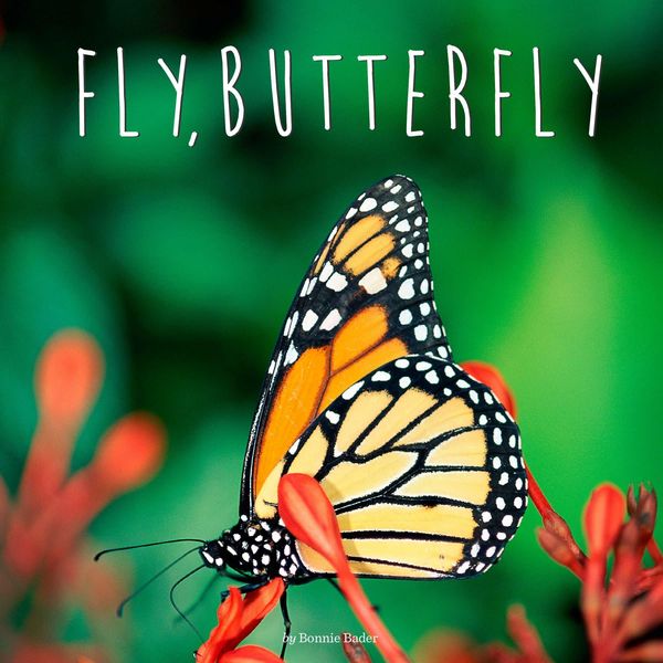 Produktbild: Fly, Butterfly