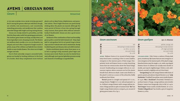 Produktbild: Perennials for the Northeast