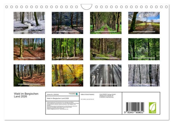 Produktbild: Wald im Bergischen Land 2026 (Wandkalender 2026 DIN A4 quer), CALVENDO Monatskalender