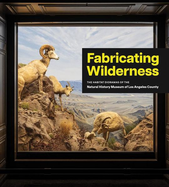 Produktbild: Fabricating Wilderness